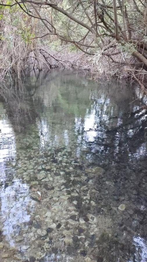 Hostal Restaurante Andra Rio Madera المظهر الخارجي الصورة