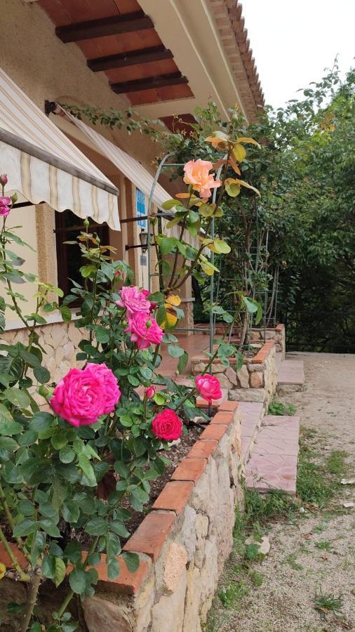 Hostal Restaurante Andra Rio Madera المظهر الخارجي الصورة